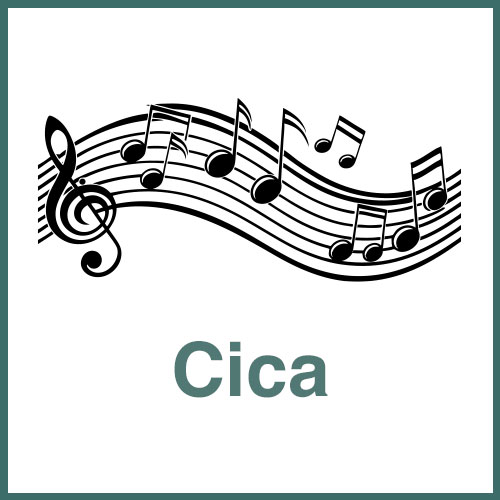 Cica