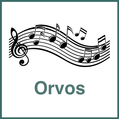 Orvos